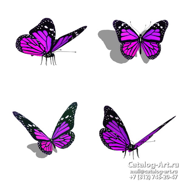  Butterflies 57